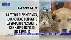 8 settembre: la good news del giorno