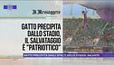 14 settembre: la good news del giorno