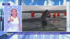 17 settembre: la good news del giorno