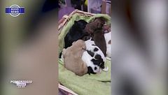 22 settembre: la good news del giorno