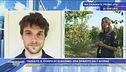 Trovato il corpo di Giacomo - Le ultimissime