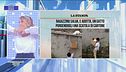11 ottobre: la good news del giorno