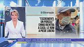 Ennio sfrattato dalle abusive - Novità sulla casa di Ennio