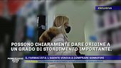 Drogata e abusata dall'agente immobiliare - Parla il farmacista