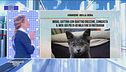 16 novembre: la good news del giorno