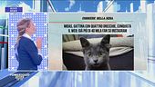 16 novembre: la good news del giorno