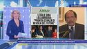 Gina Lollobrigida: oggi l'udienza  - Parla l'Avvocato della Lollo