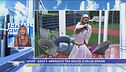 GFVip, baci e abbracci tra Soleil e Delia Duran