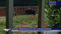 Gigi Bici - Trovata una pistola nel giardino di Barbara