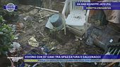 Vivono con 67 cani tra spazzatura e calcinacci