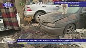 Vivono con 67 cani tra i rifiuti - Chi deve intervenire?
