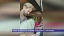 GfVip - Stanotte il ritorno di Alex Belli sui social
