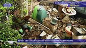 Rifiuti e 67 cani in giardino - Arrivata ditta per sanificare