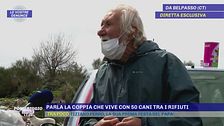 Parla la coppia che vive con 50 cani tra i rifiuti