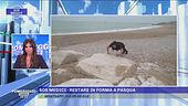 Sos medici - Restare in forma a Pasqua