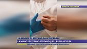 La mano di Stefano stringe quella della figlia