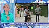 "Ho salvato 100 cani ma sono stata multata"