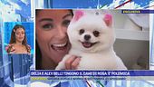 Delia e Alex Belli tingono il cane di rosa: è polemica