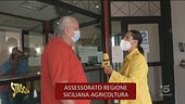 PNRR, bocciati tutti e 31 i progetti siciliani per l'agricoltura