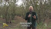 Parco nazionale del Vesuvio, ancora una discarica