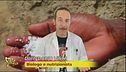 È tutto un magna magna, fake news e alimenti