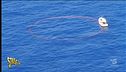 Pesca della lampuga, è davvero sostenibile?