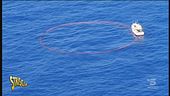Pesca della lampuga, è davvero sostenibile?