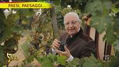 Canneto pavese, terra di vini e di tradizione