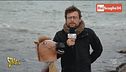 Canone Rai, perché non chiederlo ai partiti?