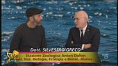 Pesca sostenibile, il problema dell'illegalità