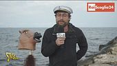 Nomine Rai, tutti i retroscena