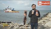 Pinuccio svela alcuni retroscena sulle nomine dei vertici dei tg Rai