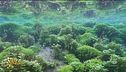 Torna Speranza verde: il Lago di Posta Fibreno