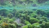 Torna Speranza verde: il Lago di Posta Fibreno