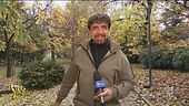 Motorizzazione senza personale, cosa succede