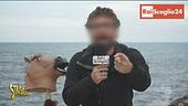 Rai Scoglio 24, contratti esterni sostanziosi
