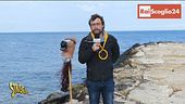 Grazie a Rai Scoglio 24, chiudono i TgR notturni