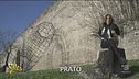 Opere d'arte bizzarre: il Mazzocchio di Prato