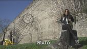 Opere d'arte bizzarre: il Mazzocchio di Prato