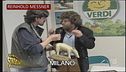 Auguri, Tapiro d'oro: 25 anni di consegne