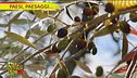 Paesi, paesaggi…l'olio EVO di Montefiascone