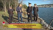 Pescatori di frodo e vendita illegale di vongole
