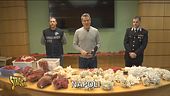 Coralli di dubbia provenienza, il sequestro dei Carabinieri