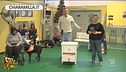 Pet therapy, perché è importante