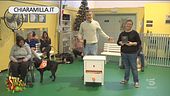 Pet therapy, perché è importante