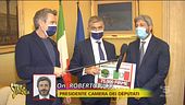 Animali e ambiente, la proposta per cambiare la Costituzione