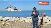 La nave da crociera e la pubblicità occulta al Tg1
