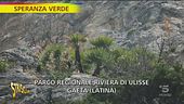 Speranza verde, la falesia di Gaeta