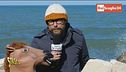 Appalti favoriti in Rai, coinvolto anche Sanremo Young