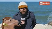 Appalti favoriti in Rai, coinvolto anche Sanremo Young